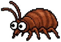 a small bedbug