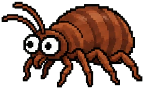 a medium bedbug