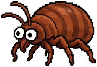a round well-fed bedbug